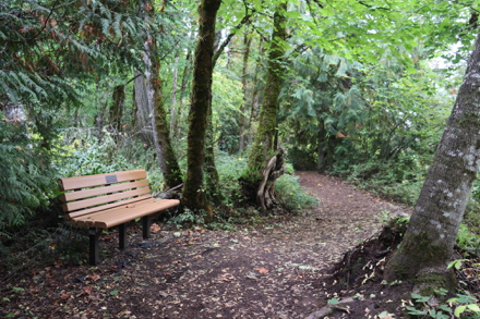 Bench along natural surface parallel to 108th Street Trail